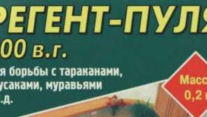 Jak používat regent šváby